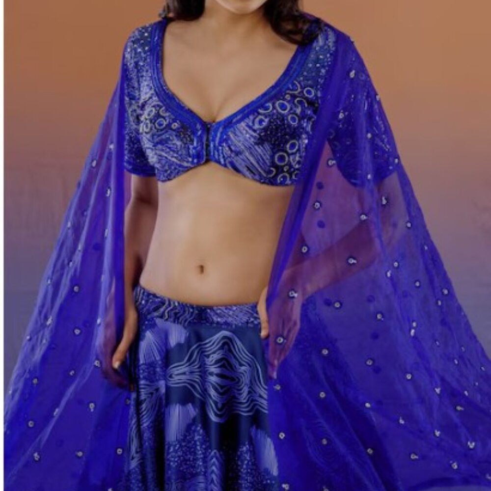 Payal & Zinal  Blue Thick Satin Cloud V Neck Print Lehenga Set  Size XS